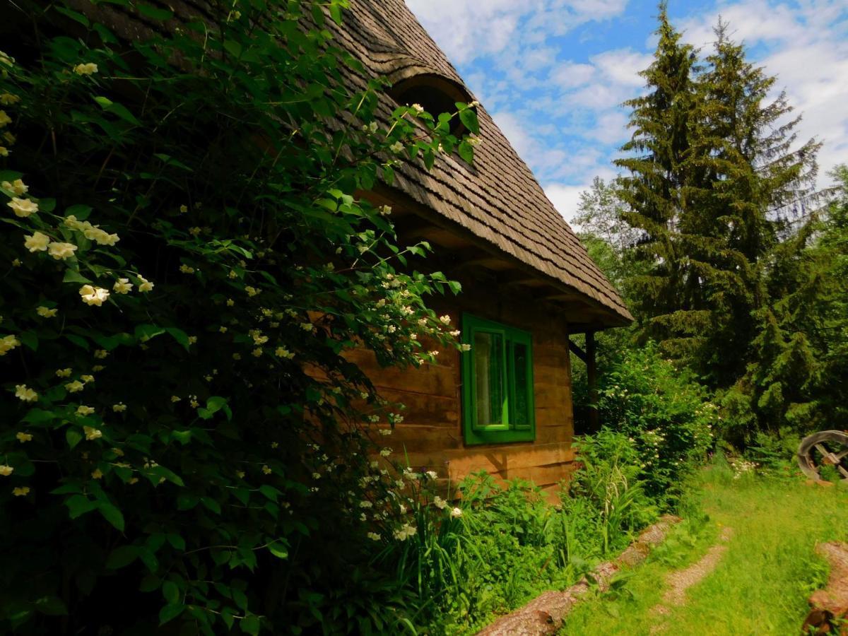 Maramuresul Stravechi Casa rural *