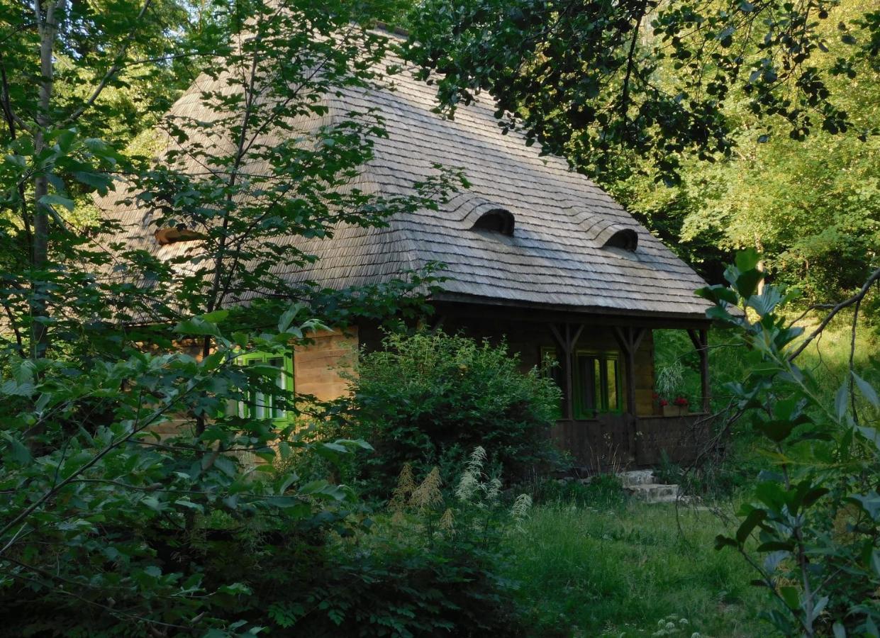 Casa rural Maramuresul Stravechi *